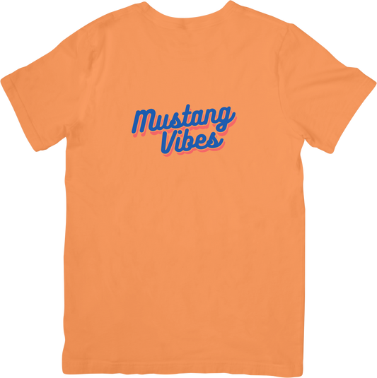 2024 Sunset Mustang Vibes